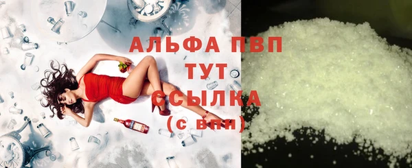 прущие грибы Волосово