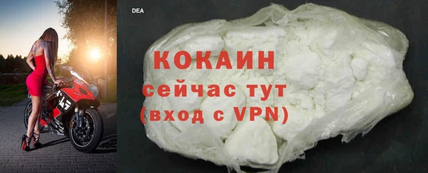 прущие грибы Волосово