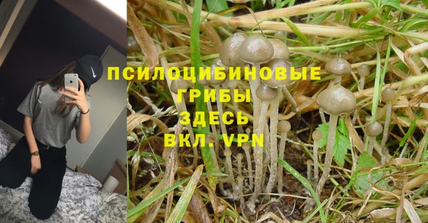 тгк Верхний Тагил