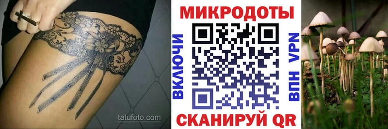 Псилоцибиновые грибы Magic Shrooms  Кущёвская 